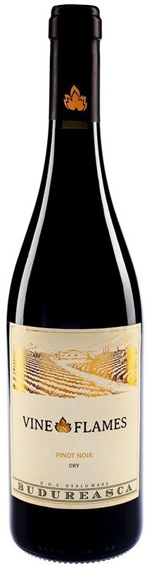 Pinot Noir Vine in Flames Budureasca. Wino czerwone