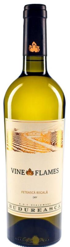 Feteasca Regala od Budureasca