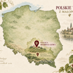 Polskie wino z Małopolski. Jakie wybrać i z czym podawać?